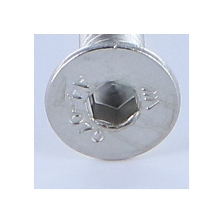 1 x Vite Per Metalli Testa Forata Con Esagono Incassato Chiave Esagonale Da 4 M6X100 Discussione completa Acciaio Inox A4