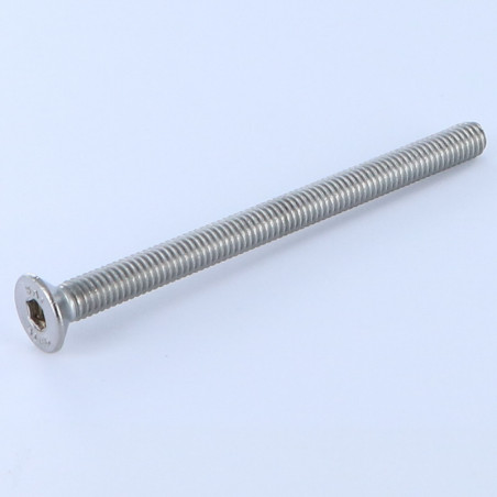 1 x Vite Per Metalli Testa Forata Con Esagono Incassato Chiave Esagonale Da 4 M6X100 Discussione completa Acciaio Inox A4