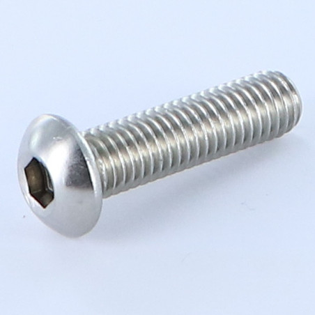 1 x Vite Per Metalli Bei (Testa Bombata Esagono Incassato) M8X50 Discussione completa Chiave Esagonale Da 5 Acciaio Inox