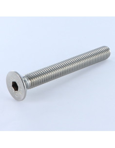 Vite Per Metalli Acciaio Inox A2 Testa Forata Con Esagono...