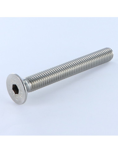 1 x Vite Per Metalli Acciaio Inox A2 Testa...