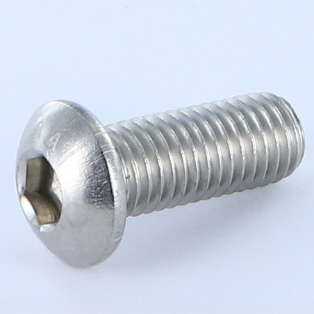 1 x Vite Per Metalli Bei (Testa Bombata Esagono Incassato) M10X20 Discussione completa Chiave Esagonale Da 6 Acciaio Inox