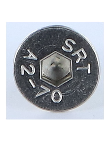 1 x Vite Per Metalli Acciaio Inox A2 Testa...