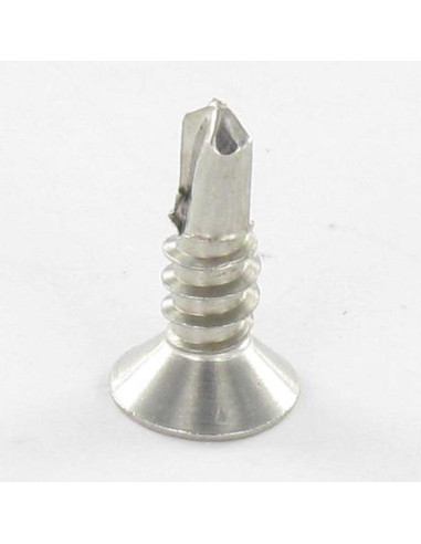 1 x Vite Autoperforante Acciaio Inox A2 Testa...