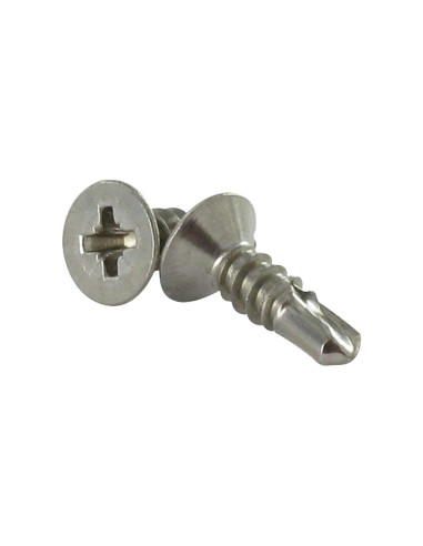 1 x Vite Autoperforante Acciaio Inox A2 Testa...