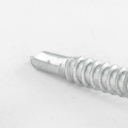 1 x Vite Autoperforante Testa Cilindrica Pozy 4.8X25 Acciaio Inox AISI 410