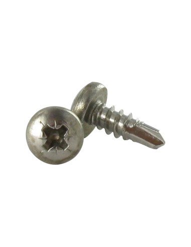 1 x Vite Autoperforante Acciaio Inox A2 Testa...