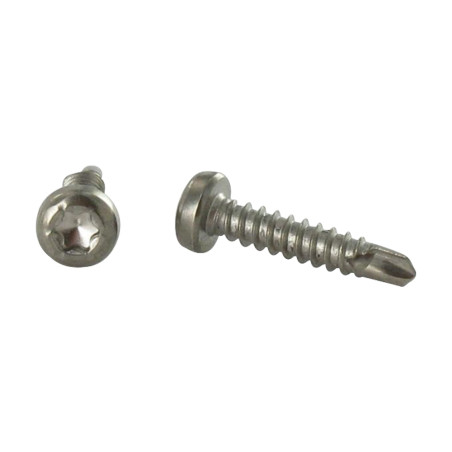 1 x Vite Autoperforante Testa Cilindrica T15 3,9X19 Acciaio Inox A4