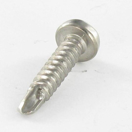 1 x Vite Autoperforante Testa Cilindrica T15 3,9X19 Acciaio Inox A4
