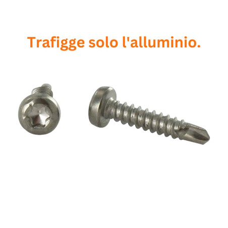 1 x Vite Autoperforante Testa Cilindrica T15 3,9X19 Acciaio Inox A4