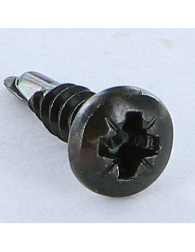1 x Vite Autoperforante Acciaio Inox A2 Nero...