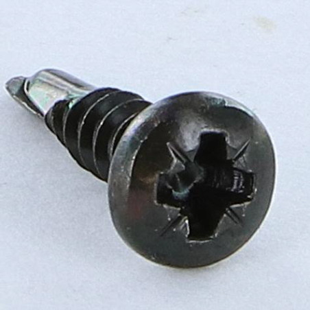1 x Vite Autoperforante Acciaio Inox A2 Nero Testa Cilindrica Bombata Pozy 3,5X13