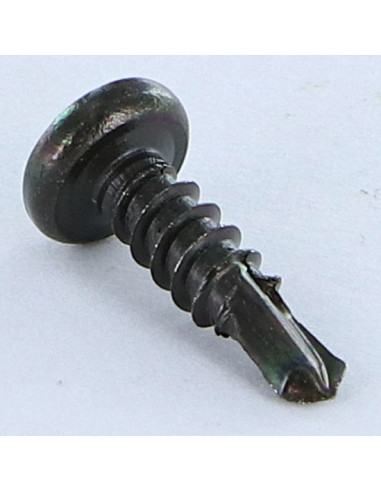 1 x Vite Autoperforante Acciaio Inox A2 Nero...