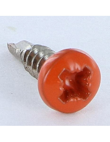 1 x Vite Autoperforante Acciaio Inox A2 Testa...