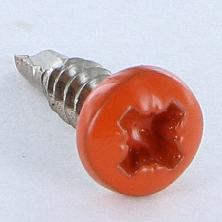 1 x Vite Autoperforante Acciaio Inox A2 Testa Cilindrica Bombata Pozy 3,5X13 RAL2001 ORA