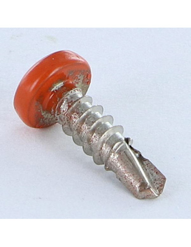 1 x Vite Autoperforante Acciaio Inox A2 Testa...