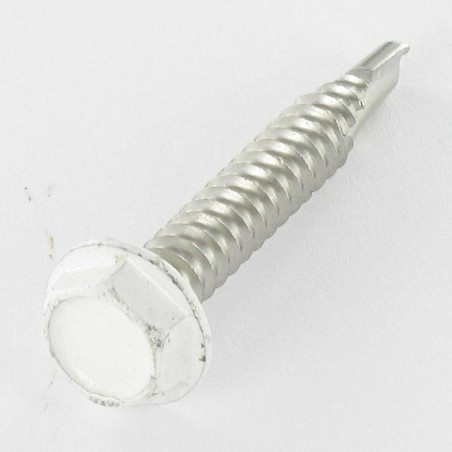 1 x Vite Autoperforante Testa Esagonale 6,3X40 Acciaio Inox A2 Ral9010 Bianco Puro