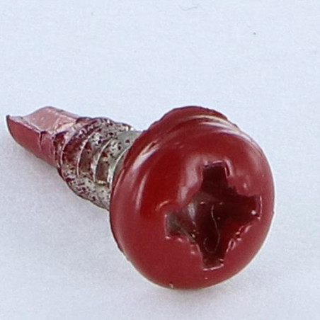 1 x Vite Autoperforante Acciaio Inox A2 Testa Cilindrica Bombata Pozy 3,5X13 Ral3011 Rosso Marrone ROU