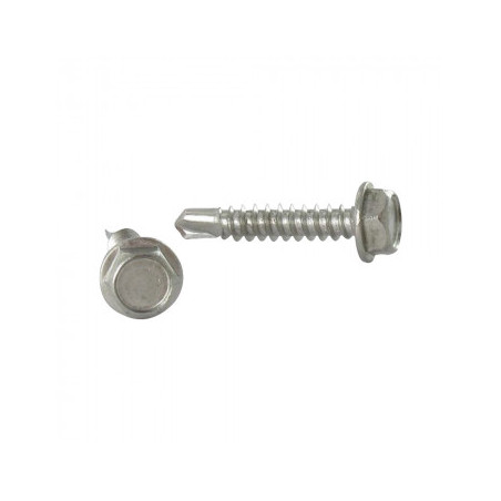1 x Vite Autoperforante Testa Esagonale 5,5X19 Acciaio Inox A4