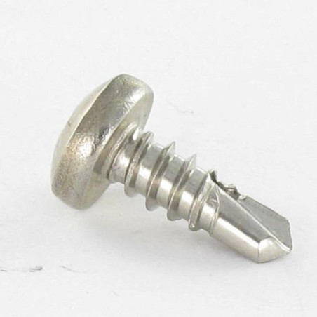 1 x Vite Autoperforante Acciaio Inox A2 Testa Cilindrica Bombata Pozy 3,9X19