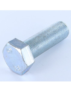 Vite Per Metalli Testa Esagonale M16X60 Discussione...