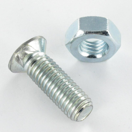 1 x CORPO Testa Forata Colletto Quadrato 2 speroni 8X200 Zincate