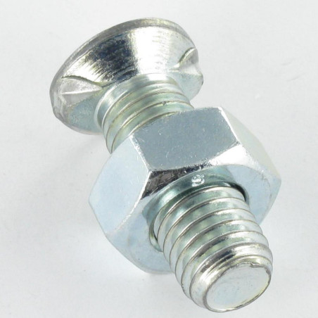 1 x CORPO Testa Forata Colletto Quadrato 2 speroni 8X200 Zincate