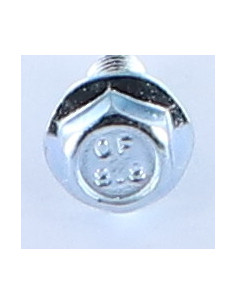 Vite Per Metalli Testa Esagonale M8X10 Flangia Dentellata... 2