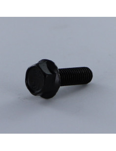 Vite Per Metalli Testa Esagonale M6X40 Flangia Dentellata...
