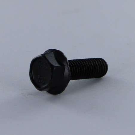 1 x Vite Per Metalli Testa Esagonale M6X40 Flangia Dentellata Classe 8.8 Acciaio Zincato Nero