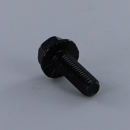 1 x Vite Per Metalli Testa Esagonale M6X40 Flangia Dentellata Classe 8.8 Acciaio Zincato Nero