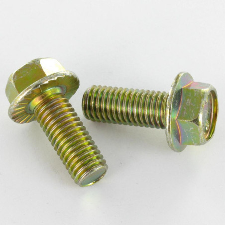 1 x Vite Per Metalli Testa Esagonale M6X8 Flangia Dentellata Classe 8.8 Bicromato