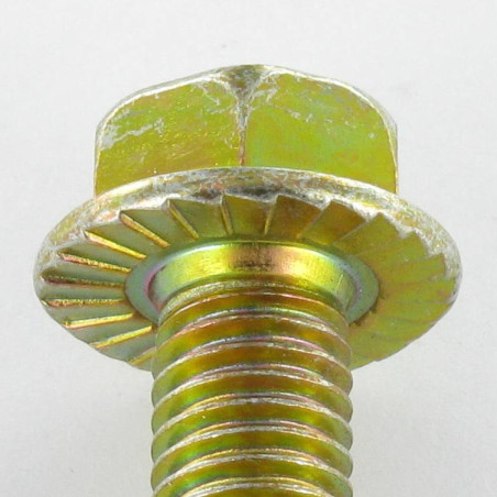 1 x Vite Per Metalli Testa Esagonale M6X8 Flangia Dentellata Classe 8.8 Bicromato