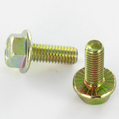 1 x Vite Per Metalli Testa Esagonale M6X8 Flangia Dentellata Classe 8.8 Bicromato