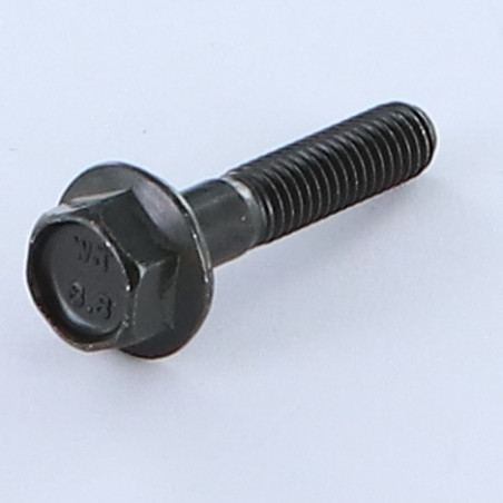 1 x Vite Per Metalli Testa Esagonale M6X30 Filettata Su 18 Flangia Dentellata Classe 8.8 Acciaio Zincato Nero