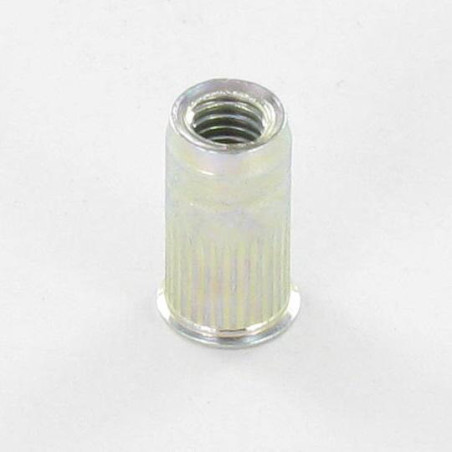 1 x Dado Cieco Zincate M8 11X17 Testa Ridotta