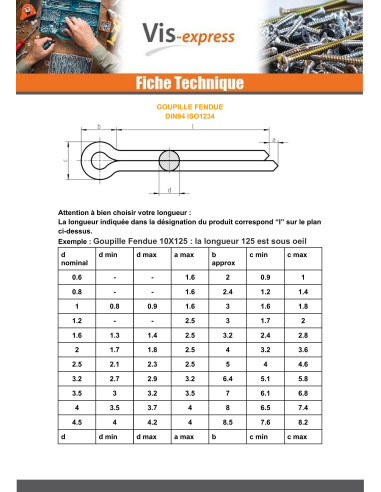 1 x Pasadores Con Intaglio Acciaio Inox A4 3,2...