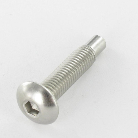 1 x Vite Per Metalli Testa Poelier Larga Esagono Incassato Acciaio Inox A2 M8X40 Punta 6X9 Chiave Esagonale Da 5