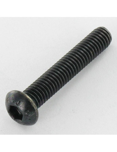 1 x Vite Per Metalli Acciaio Inox A2 Nero Bei...