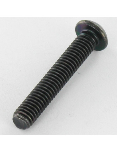 1 x Vite Per Metalli Acciaio Inox A2 Nero Bei...