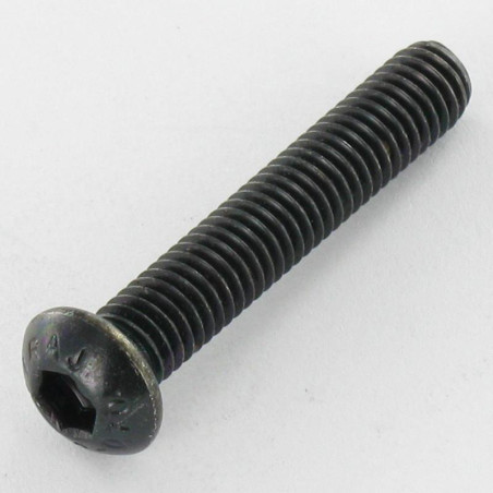 1 x Vite Per Metalli Acciaio Inox A2 Nero Bei (Testa Bombata Esagono Incassato) M4X20 Discussione completa Chiave
