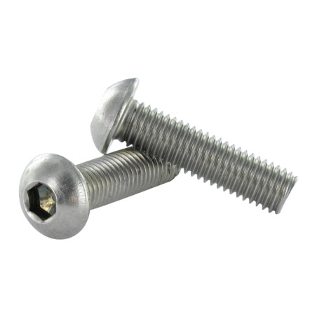 1 x Vite Per Metalli Acciaio Inox A2 Bei (Testa Bombata Esagono Incassato) M10X100 Discussione completa Chiave Esagonale