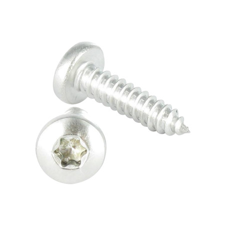 1 x Vite Per Lamiera testa bombata larga 4,8X45 Acciaio Inox A2 T25