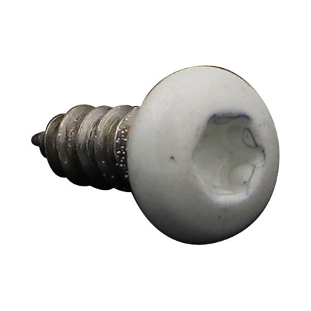 1 x Vite Per Lamiera testa bombata larga 4,2 x 13 Acciaio Inox A2 T20 Ral9010 Bianco Puro