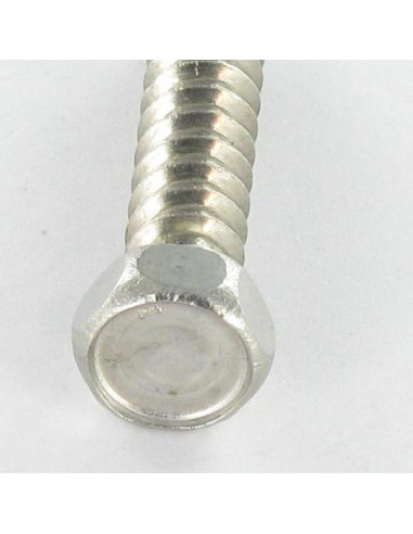 1 x Vite Per Lamiera Acciaio Inox A2 Testa...