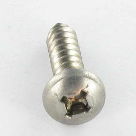 1 x Vite Per Lamiera Acciaio Inox A2 Testa Cilindrica Quadrato Phillips 4,8 x 38