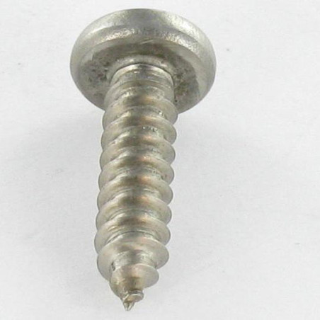 1 x Vite Per Lamiera Acciaio Inox A2 Testa Cilindrica Quadrato Phillips 4,8 x 38