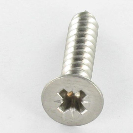 1 x Vite Per Lamiera Acciaio Inox A2 Testa Forata Pozy 4,8X50