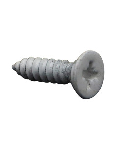 Vite Per Lamiera Acciaio Inox A2 Testa Forata Pozy 4,2 x...
