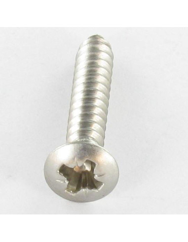 1 x Vite Per Lamiera Acciaio Inox A2 Testa...